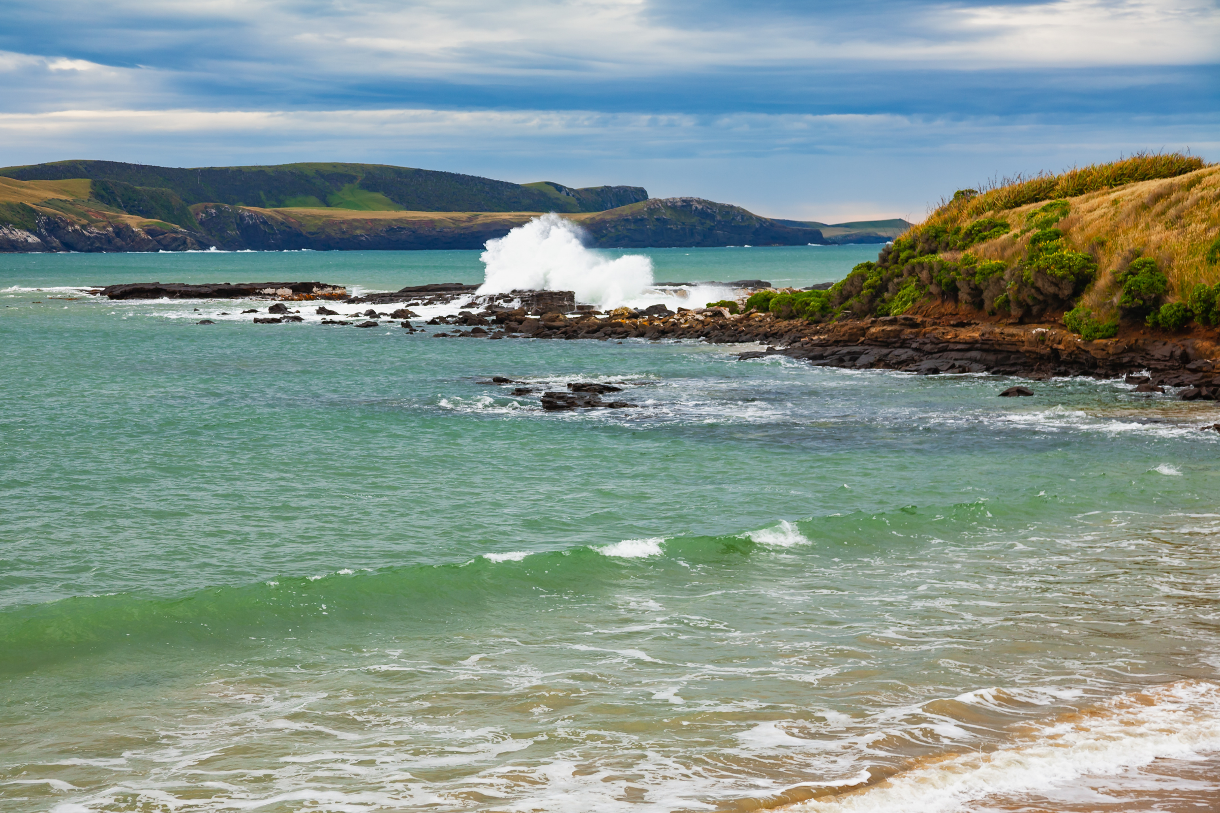 port adventure, stewart island (3).webp